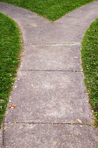 Photo: Fork in the pathway with grass Fork in the pathway with grass