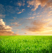 Photo: idyllic landscape idyllic landscape