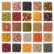 Legume Legume