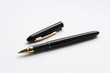 Pen