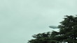 Blimp crossing above trees