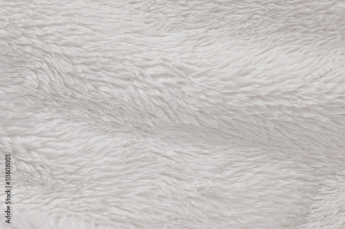 Photo: High Resolution fur furry white textured background High Resolution fur furry white textured background