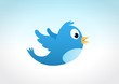 Oiseau bleu