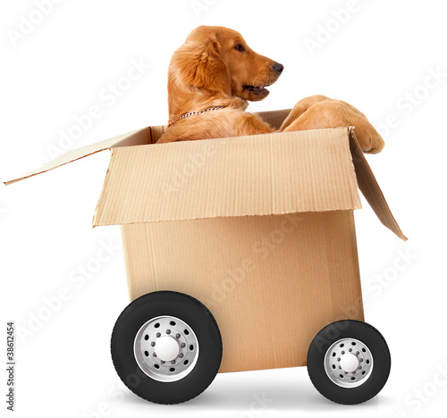 Foto: Fast shipment Fast shipment