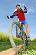 mountain biker