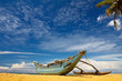 boat and coconut palm tree on tropical coast boat and coconut palm tree on tropical coast