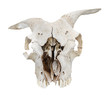 Totenkopf