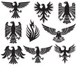 heraldic eagle set