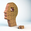 Puzzle head
