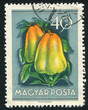 peppers