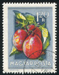 plums