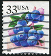blueberries