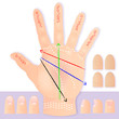 handlesekunst - hauptlinien - finger krankheitszeichen usw.