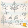 blätter set - doodle