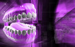Mouth