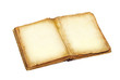 Old book with open pages