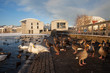 Winter sunshine around Reykjavik city centre