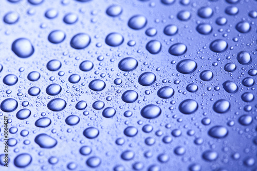 Photo: Fresh and Wet Fresh and Wet