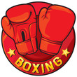 boxing label (boxing symbol, boxing design)