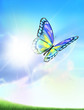 Envol de papillon