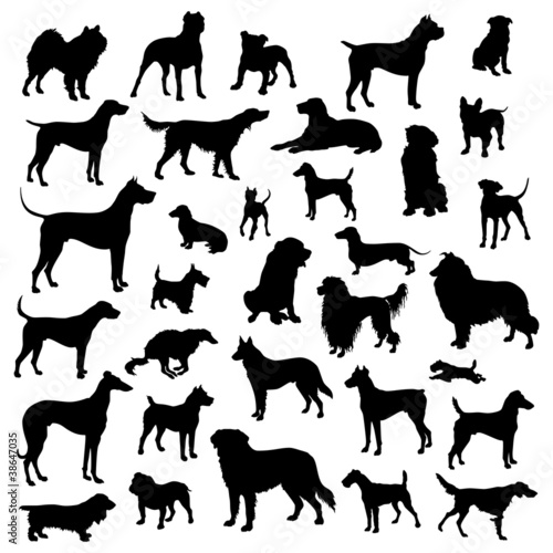 Vector: Set of dogs silhouette. Vector. Set of dogs silhouette. Vector.