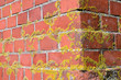 old mossy red brick wall corner backdrop