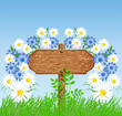 Signboard on the meadow with flowers