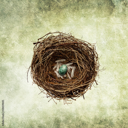 Photo: nest egg print nest egg print