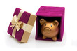 Holidays Savings