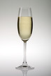 Sektglas