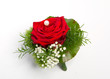 Rosen Anstecker