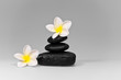 frangipani and black stones