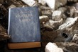 The old book The old book