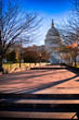 US Capitol