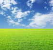 landschaft wiese
