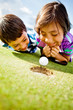 Golf players staring at the ball