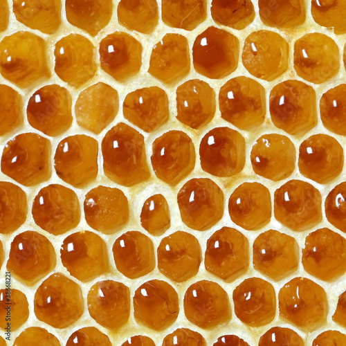 Photo: Honeycombs seamless pattern Honeycombs seamless pattern