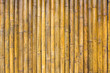 Bamboo texture