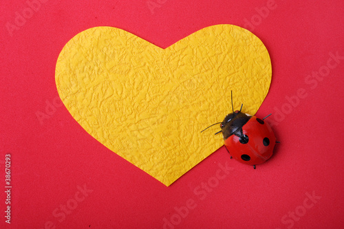 Photo: heart with ladybug heart with ladybug