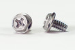 Two computer screw