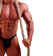 bodybuilder posing