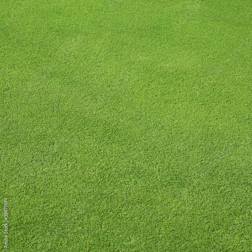 Photo: Rasen auf Golfplatz Rasen auf Golfplatz