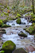 rivière de montagne