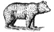 Ours Ours