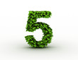 Number 5, alphabet of green leaves