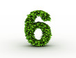 Number 6, alphabet of green leaves
