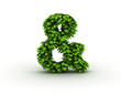 ampersand sign, alphabet of green leaves