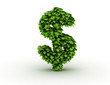 Dollar sign frome green leaves