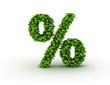 Percent symbol from green leaves