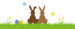 Osterhasen auf Wiese sitzend - Ostern